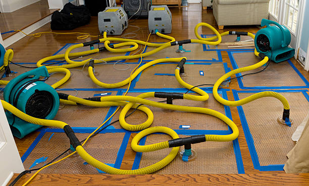 Professional Structural Drying And Dehumidification technician working in Shenandoah, TX